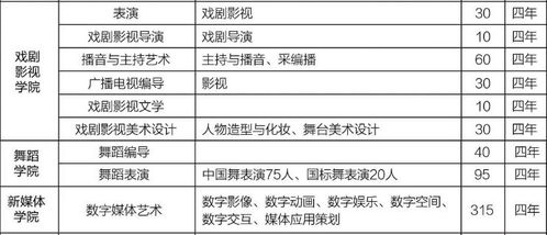 吉林艺术学院研究生报考指南：艺术梦想的摇篮与职业发展路径