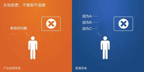 培训项目：轻松掌握选择与实施技巧，提升团队能力与工作效率