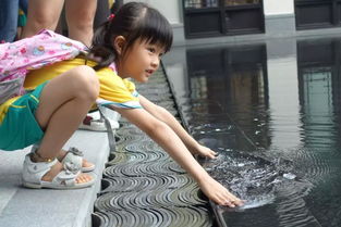 王紫薇：如何从平凡日常中发现艺术之美，让生活充满诗意与温暖