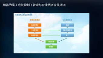 策划师是做什么的？揭秘策划师工作职责、必备技能与职业发展全攻略