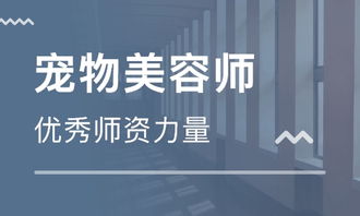 宠物美容培训全攻略：从零基础到专业美容师的捷径，轻松掌握高薪技能