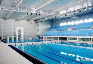 英东游泳馆全攻略：从新手到高手的便捷游泳体验，避开拥挤与高价的烦恼
