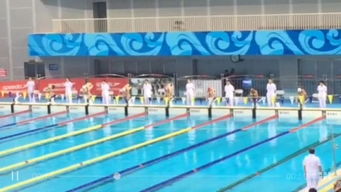 英东游泳馆全攻略：从新手到高手的便捷游泳体验，避开拥挤与高价的烦恼