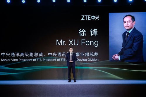 王珍的商业智慧：如何用价值共创与柔性管理打造成功企业