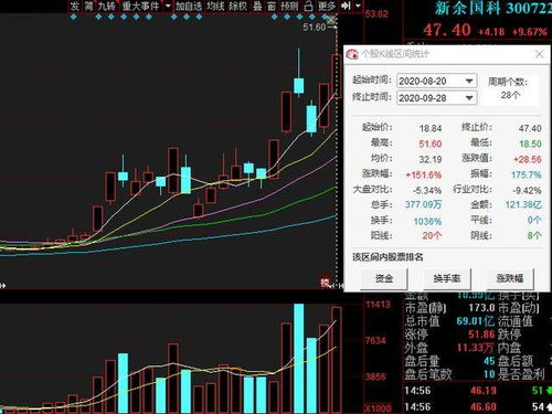 袁磊的投资智慧：如何在复杂市场中找到价值投资捷径，避免追涨杀跌的痛苦