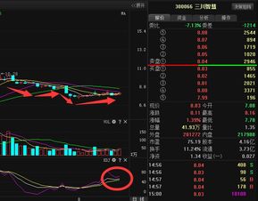 袁磊的投资智慧：如何在复杂市场中找到价值投资捷径，避免追涨杀跌的痛苦