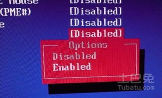 掌握计算机能力：开启数字时代便捷生活的通行证