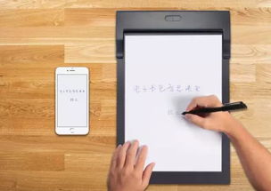 画画工具全攻略：从铅笔到数位板，轻松找到最适合你的创作利器