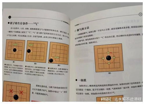 围棋的玩法：从零基础到轻松入门，快速掌握围棋规则与技巧