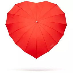 伞的英语怎么说？掌握umbrella发音、用法与文化，轻松应对各种场景