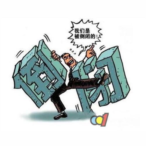 刘昭华：从普通家庭到行业领袖，揭秘他的成功秘诀与创新思想