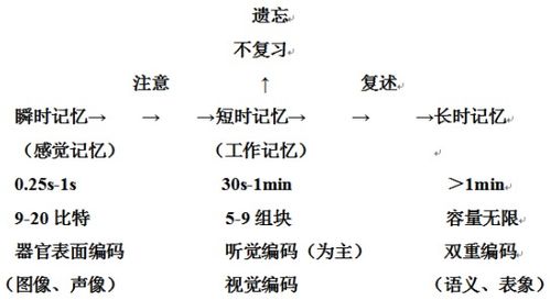 韩语单词高效记忆方法：轻松掌握发音规则与情境联想技巧
