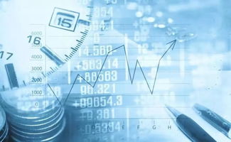 张翠霞：从普通上班族到价值投资大师的蜕变之路，教你如何在股市波动中稳健盈利