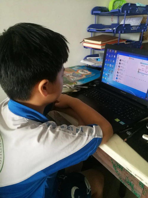 学做蛋糕去哪里学？线下培训与线上课程全攻略，轻松找到最适合你的学习方式