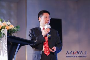 左颖：从跨境电商到行业领袖，揭秘她的成功秘诀与争议应对