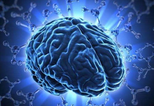 自闭症的原因：揭秘遗传与环境如何影响大脑发育，帮助家长科学理解