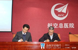 陈朝阳：材料科学领域的创新引领者与产学研转化专家