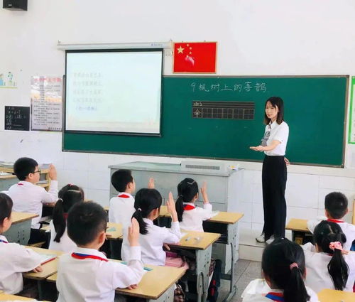 清江中学招生政策与教学质量全解析：择校无忧，助力孩子成长