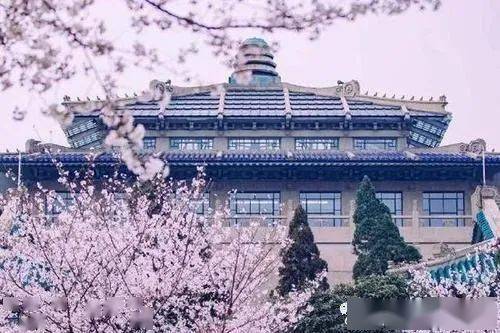 武汉外国语学校美加分校：中西融合教育全解析，轻松择校避坑指南