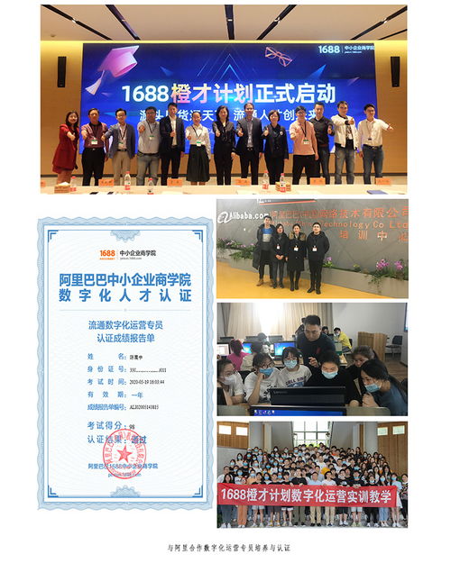 电子商务课程：掌握数字商业技能，开启高薪职业新篇章