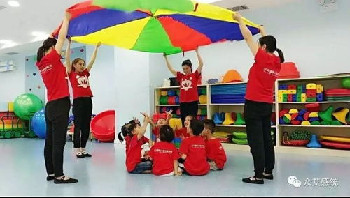 感统训练器材全攻略：科学选择与家庭使用指南，轻松解决儿童感统失调问题