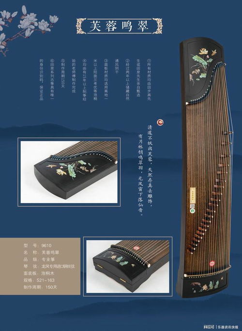 古筝培训全攻略：从零基础到专业级，轻松掌握传统乐器的快乐学习法