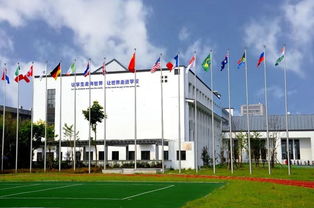 上海世界外国语小学：国际化教育如何培养孩子的全球视野与双语能力