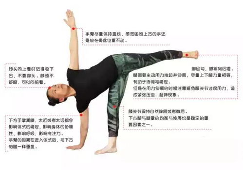 什么是瑜伽？揭秘千年哲学体系，轻松掌握身心平衡的快乐秘诀