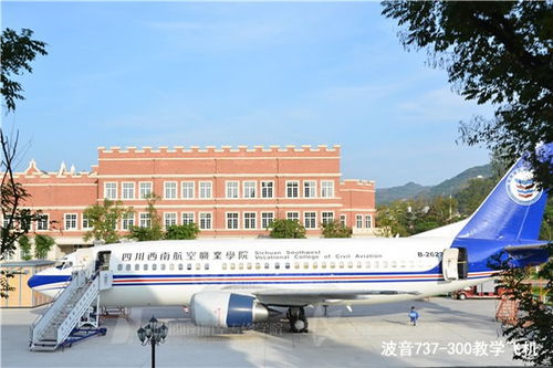西南航空专修学院：成就航空梦想，轻松开启高薪职业之路