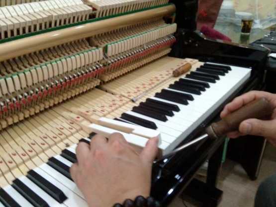 钢琴调音师：让您的钢琴恢复完美音准，享受纯净音乐体验