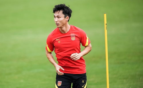 高洪波简介：从国安神锋到国足主帅的传奇足球生涯