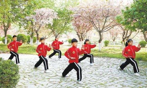 武术培训：不只是强身健体，更是身心成长的完整体系