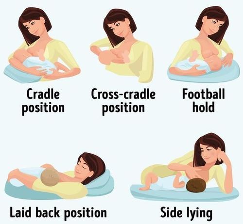 育婴师培训：轻松掌握专业技能，开启高薪育儿职业之路