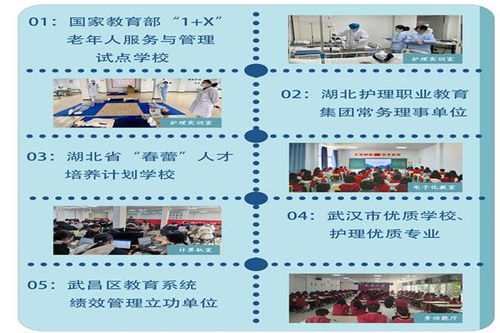 成都列五中学招生政策、办学特色与升学指南全解析