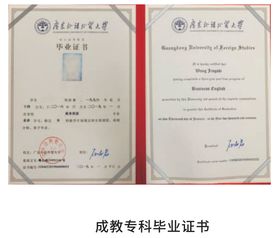 广东外语外贸大学自考全攻略：灵活提升学历，开启职业新篇章