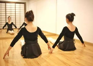 形体舞轻松入门：改善体态、提升气质、减压放松的优雅舞蹈指南