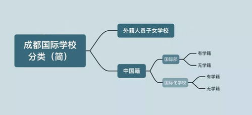 成都国际学校全解析：如何为孩子选择最适合的国际化教育路径