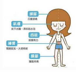 上海美容院全攻略：如何轻松挑选优质美容院，避免踩坑