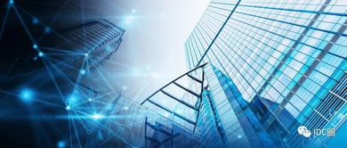 廖丽君：从金融精英到行业领袖的成长之路与数字化转型见解