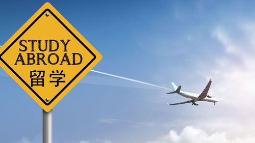 苏教国际留学服务全解析：官方背景+个性化方案，轻松实现海外名校梦