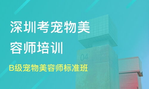 宠物美容师培训学校：零基础到专业美容师的完整指南，轻松掌握高薪技能