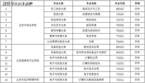 深圳城市学院招生条件与专业设置详解：轻松了解如何申请热门专业