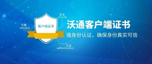 管理咨询师：权威指南，助你高效解决企业难题，轻松实现职业晋升