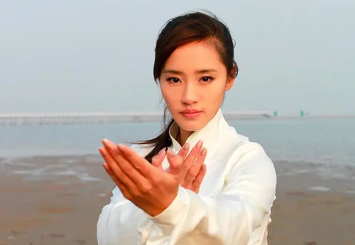 王智个人资料介绍：从秋雅到韩朵朵，揭秘她不为人知的武术村官生涯与家庭幸福