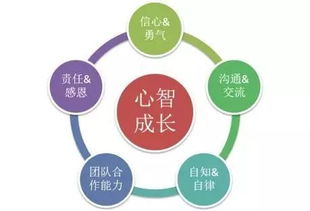 青少年特训营：突破舒适区，培养坚韧与领导力的成长加速器