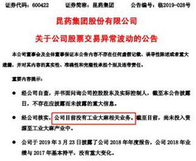 崔飞：从职场新人到行业领袖的成长秘诀，助你轻松实现职业突破