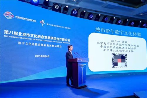 陈少峰：文化产业理论与实践指南，轻松掌握文化经济双轮驱动