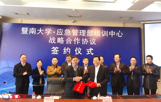 启程教育：实用技能培训与职业发展支持，轻松实现职场转型