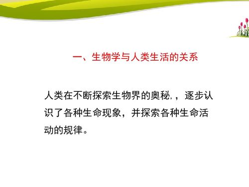生物学专业全解析：从课程设置到就业前景，助你轻松掌握生命科学奥秘