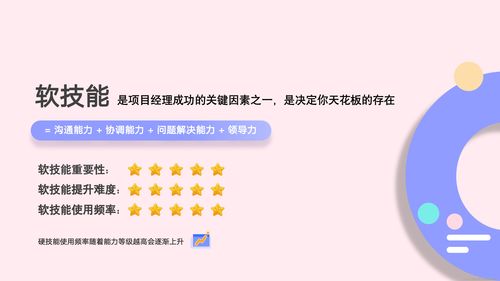 信息系统项目管理指南：从混乱到高效，轻松掌握项目成功秘诀